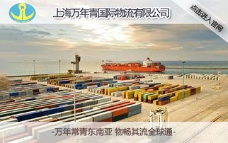 上海到新加坡海運(yùn)費(fèi)用多少 萬(wàn)年青國(guó)際物流