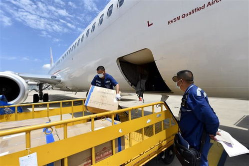 出口需求回暖 天河機(jī)場復(fù)航后首開國際定期貨運(yùn)航線