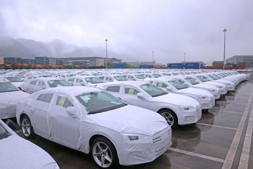 通道帶貿(mào)易 金融促發(fā)展,重慶國(guó)際物流樞紐園區(qū)展現(xiàn)內(nèi)陸開放 新勢(shì)能