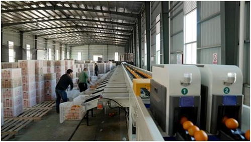 中國(guó)減貧四十年 研究報(bào)告 中國(guó)超5 就業(yè)崗位來(lái)自電商