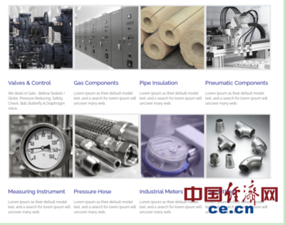 巴基斯坦閥門制造業的生存困境 國際物流成本飆升十倍，原材料價格劇烈波動