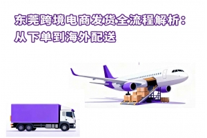 東莞國際物流 連接全球的供應(yīng)鏈樞紐